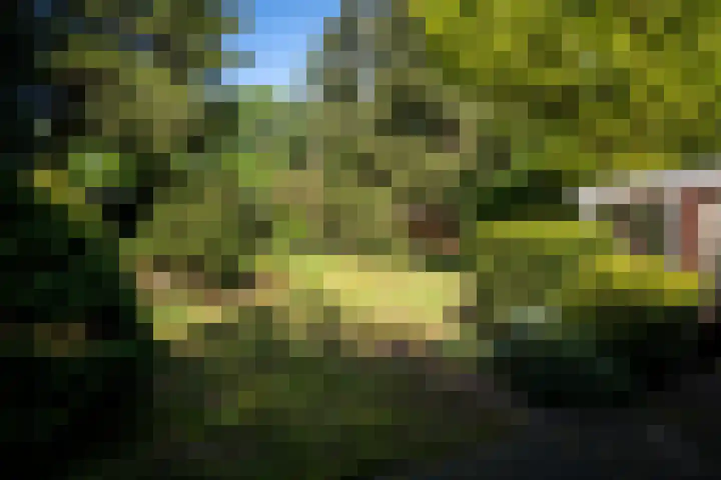 Rozenhoflaan 3 Epe thumbnail 19