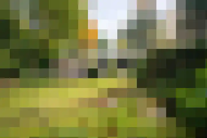 Rozenhoflaan 3 Epe thumbnail 20