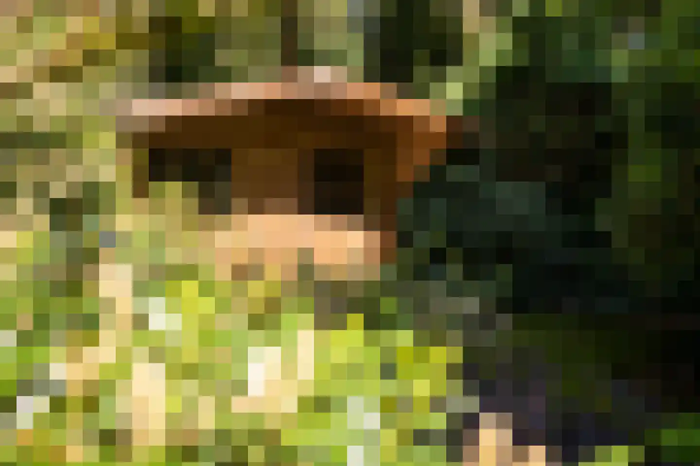 Rozenhoflaan 3 Epe thumbnail 20