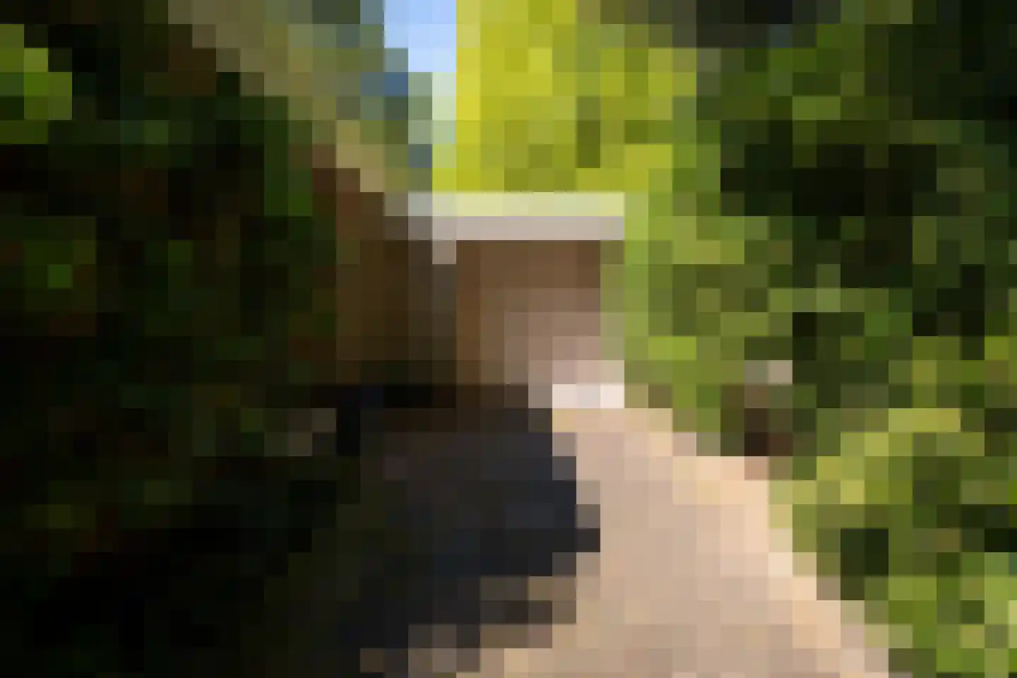 Rozenhoflaan 3 Epe thumbnail 21
