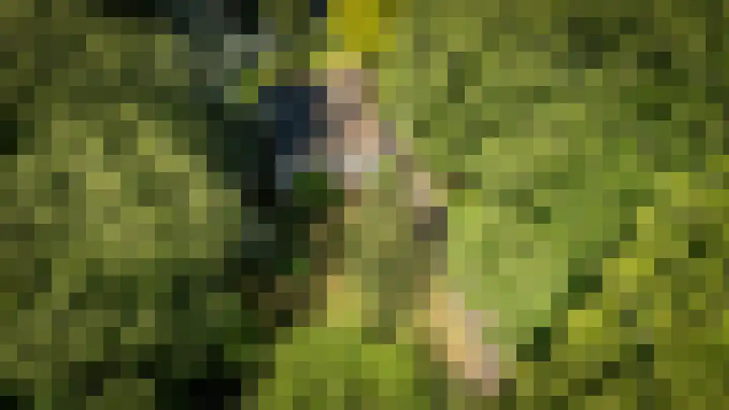 Rozenhoflaan 3 Epe thumbnail 22
