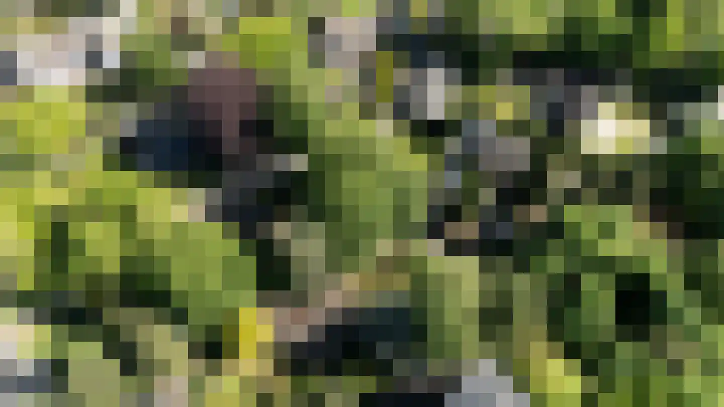 Rozenhoflaan 3 Epe thumbnail 23