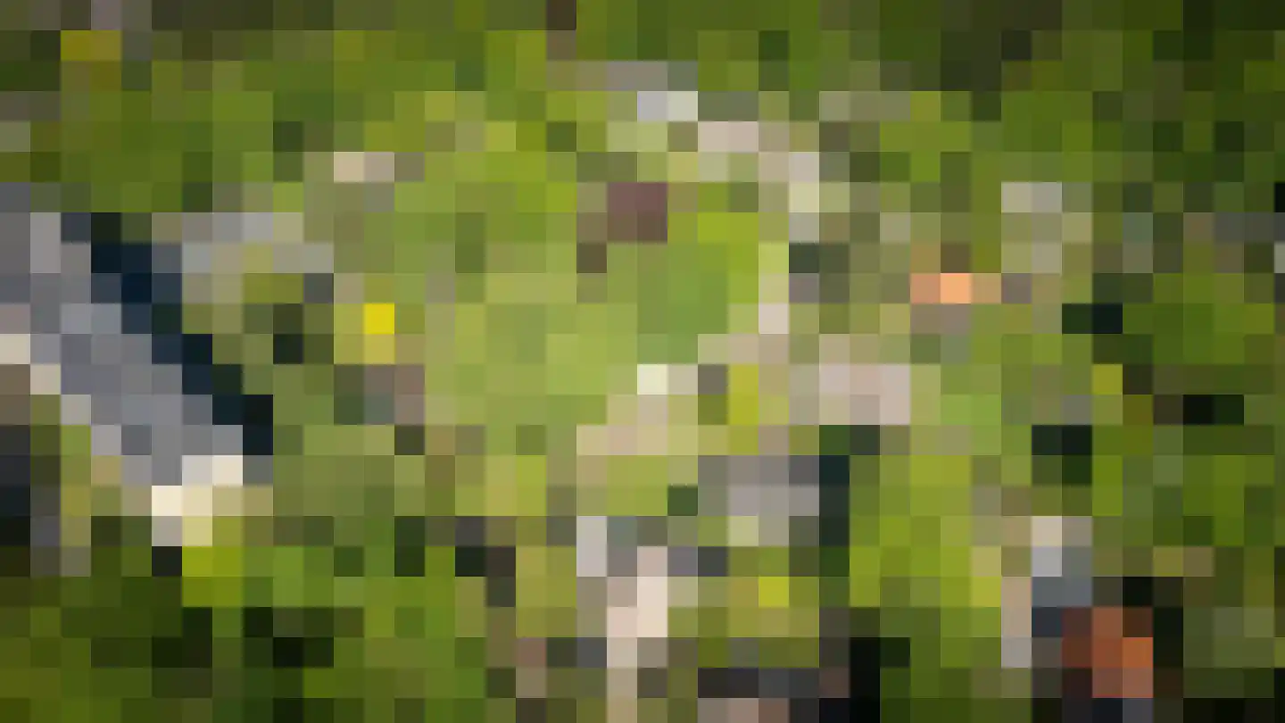 Rozenhoflaan 3 Epe thumbnail 24