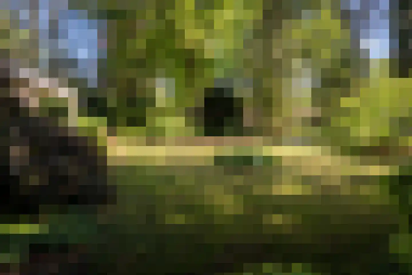 Rozenhoflaan 3 Epe thumbnail 4
