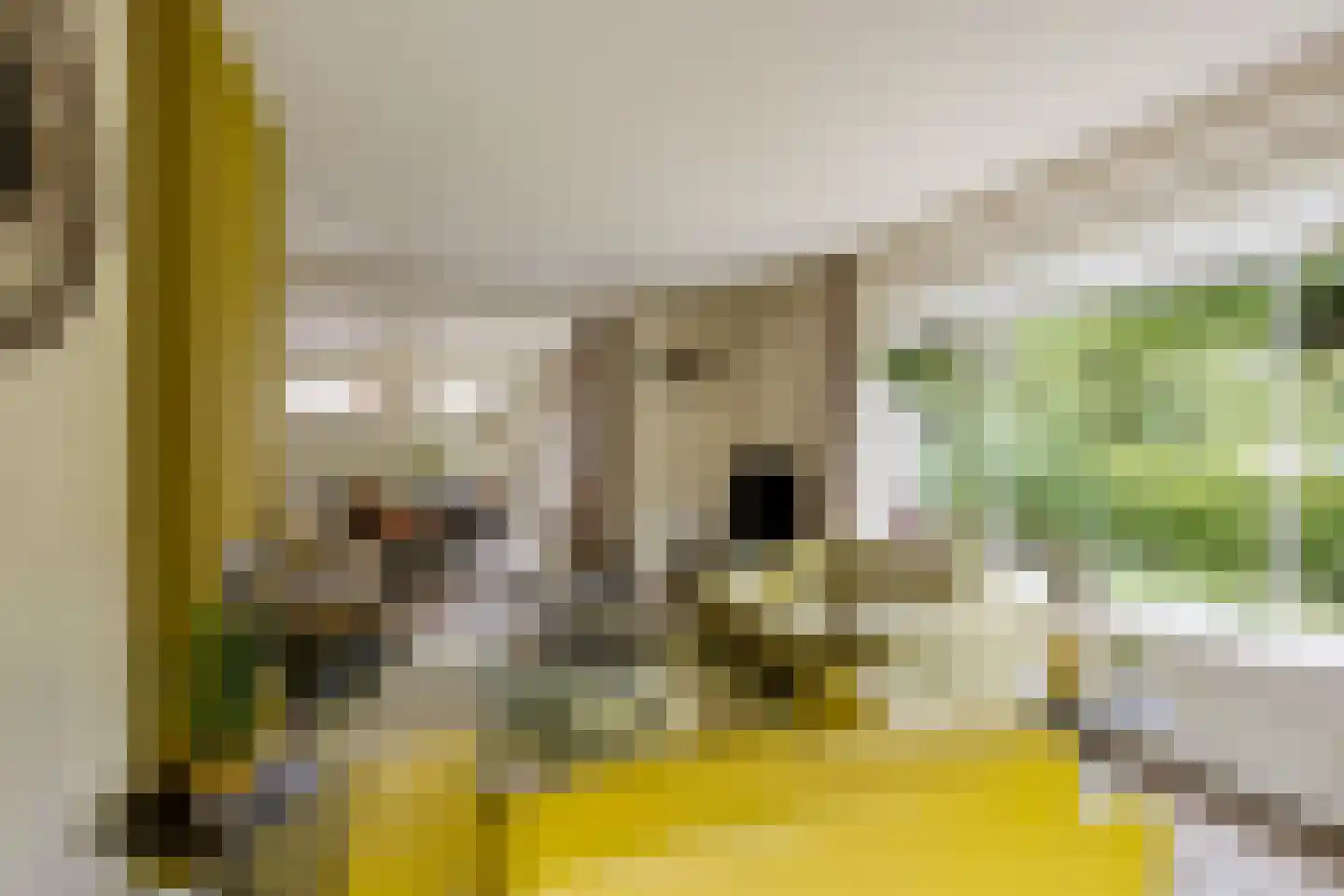 Rozenhofstraat 13 Steenenkamer thumbnail 10
