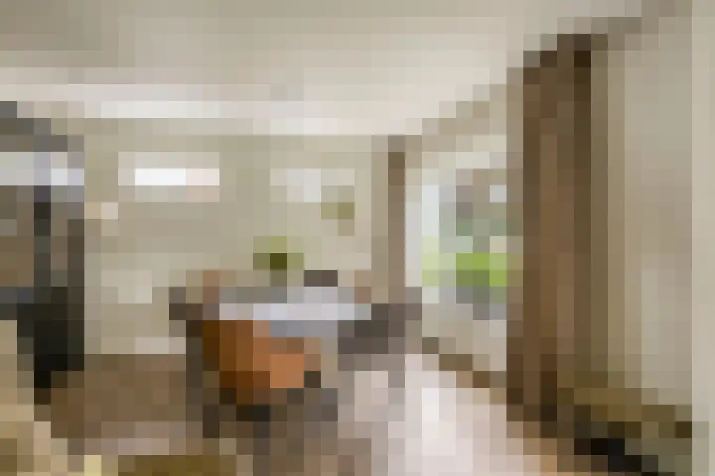 Rozenhofstraat 13 Steenenkamer thumbnail 16