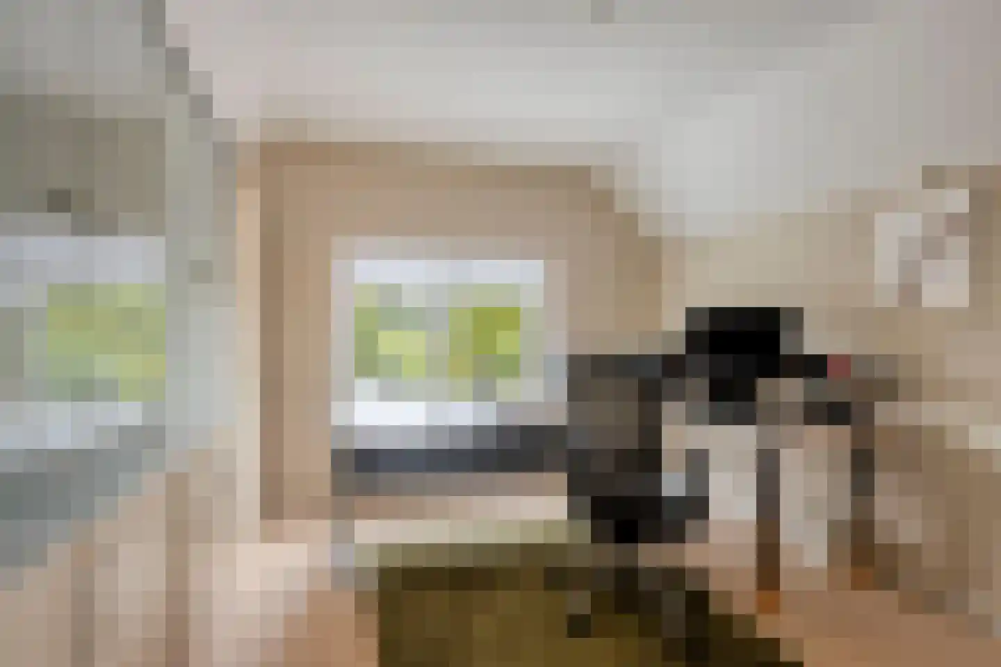 Rozenhofstraat 13 Steenenkamer thumbnail 31