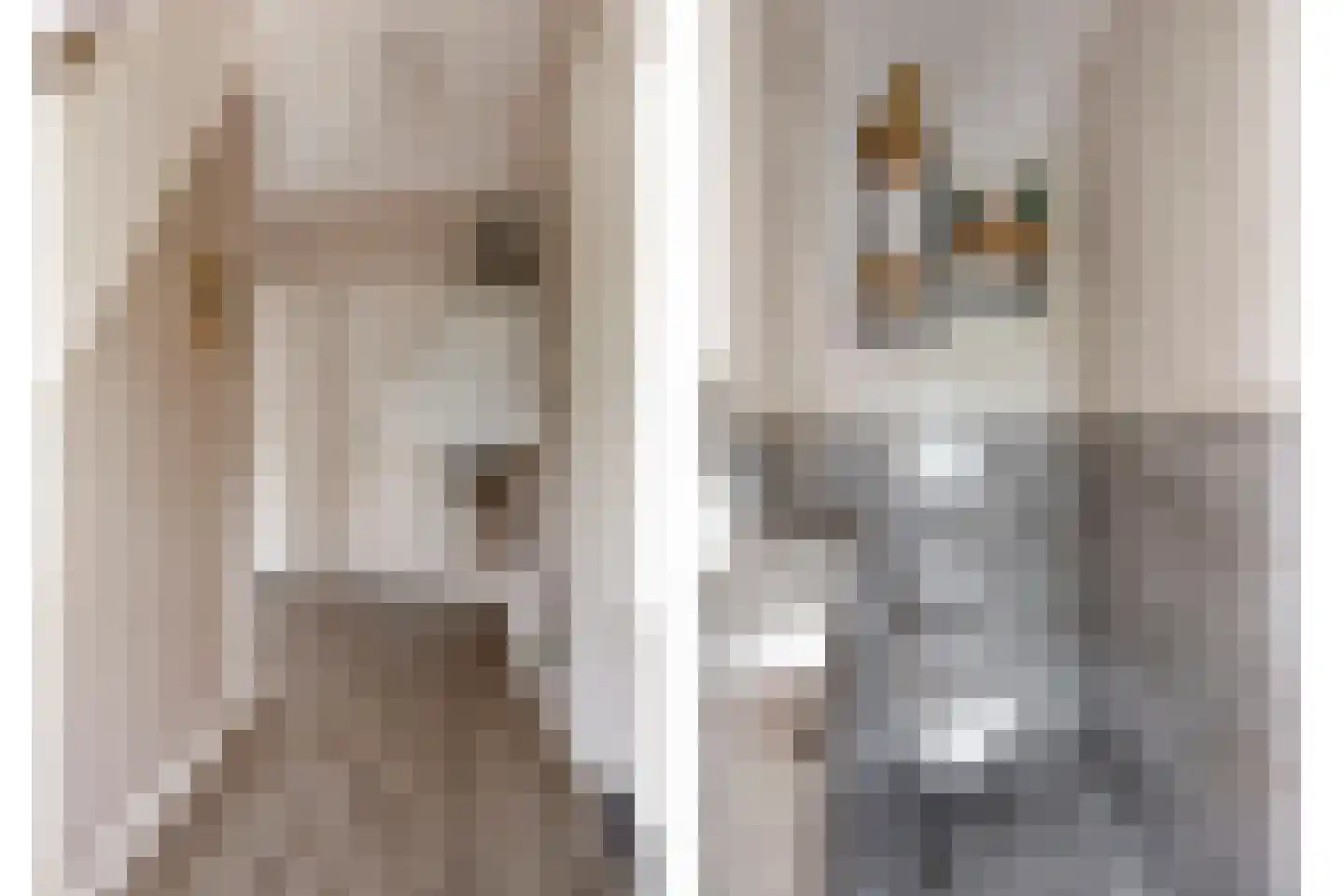 Rozenhofstraat 13 Steenenkamer thumbnail 8