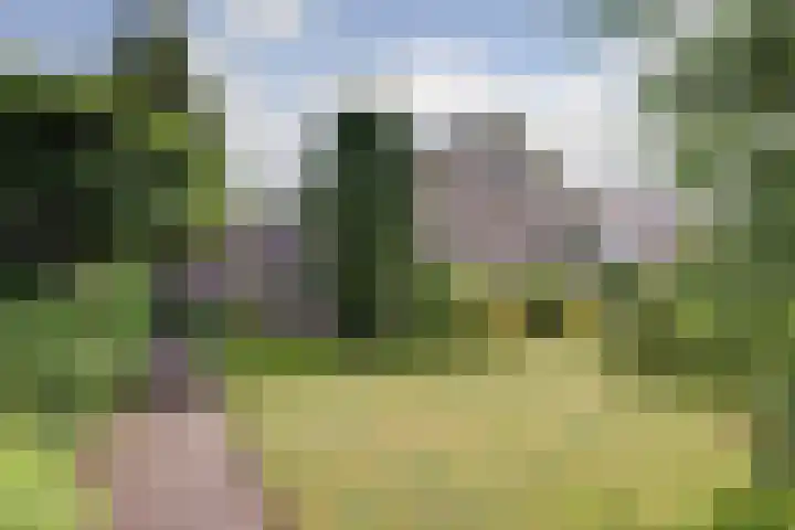 Rozenhofstraat 5 Steenenkamer