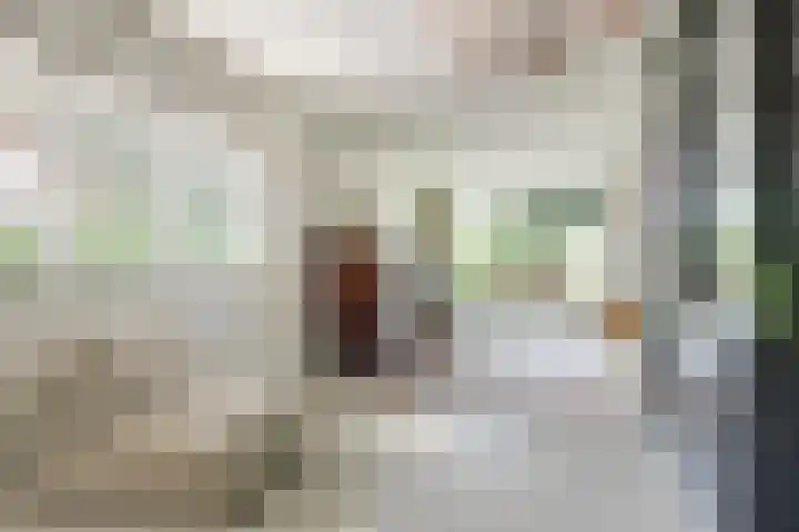 Rozenhofstraat 5 Steenenkamer thumbnail 14