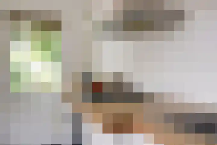 Rozenhofstraat 5 Steenenkamer thumbnail 16