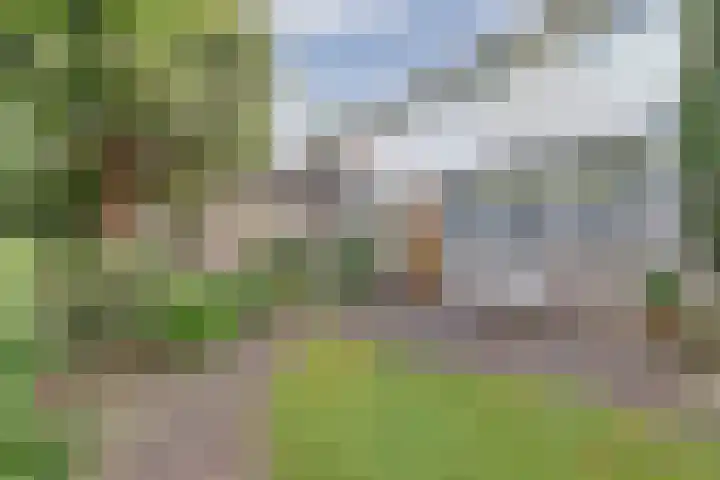Rozenhofstraat 5 Steenenkamer thumbnail 5