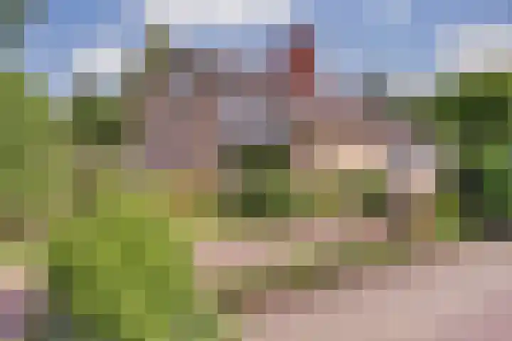 Rozenhofstraat 5 Steenenkamer thumbnail 6