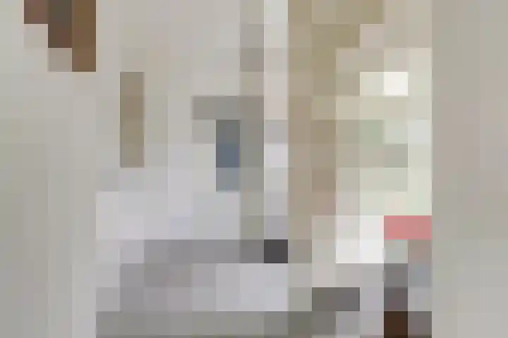 Rozenhofstraat 5 Steenenkamer thumbnail 7
