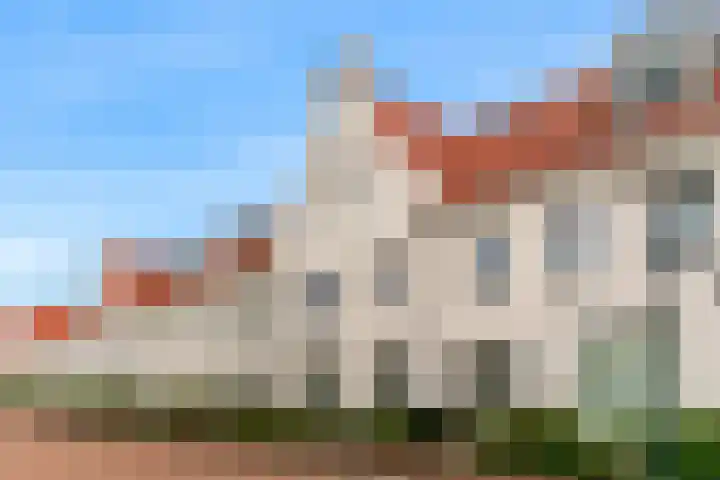 Rozenhofstraat 6 Hoef en Haag thumbnail 34