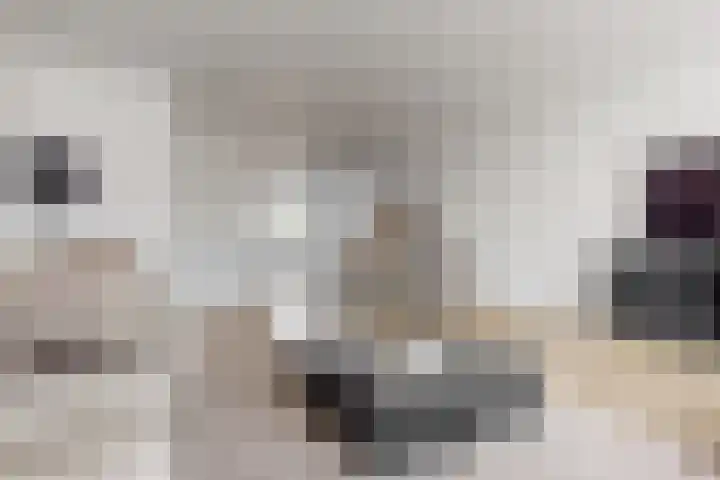 Rozenhofstraat 6 Hoef en Haag thumbnail 5