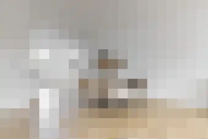 Rozenhofstraat 6 Hoef en Haag thumbnail 6