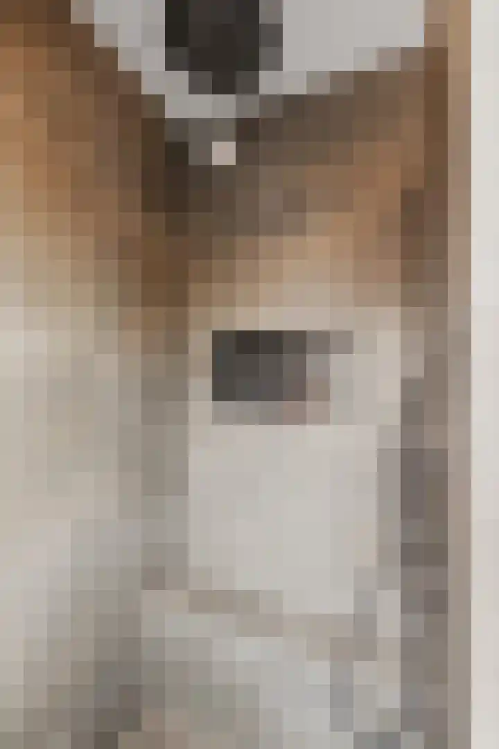 Rozenhout 8 Barendrecht thumbnail 22