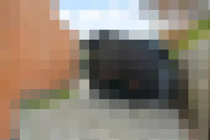 Rozenhout 8 Barendrecht thumbnail 36