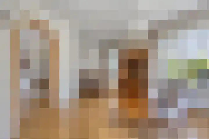 Rozenhoutstraat 8 Heerhugowaard thumbnail 11