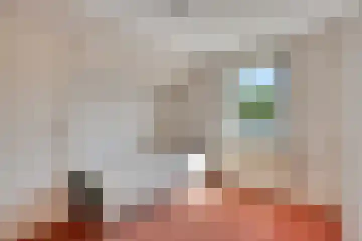 Rozenhoutstraat 8 Heerhugowaard thumbnail 30