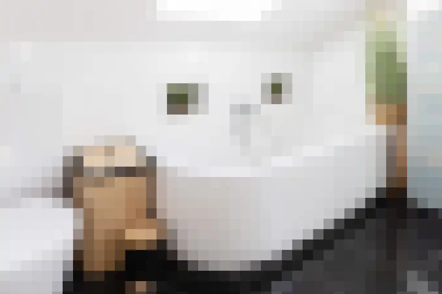 Rozenkamp 22 Eibergen thumbnail 23
