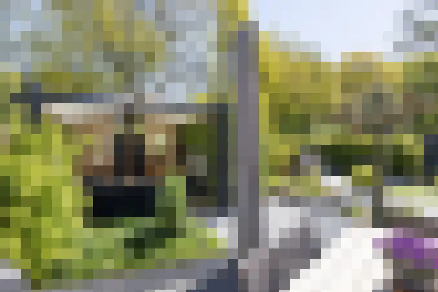 Rozenkamp 22 Eibergen thumbnail 30