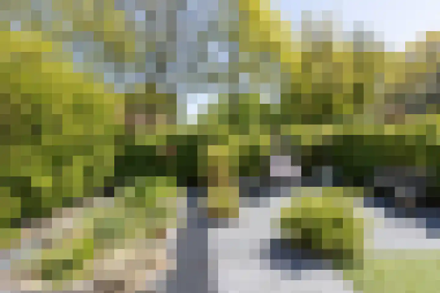 Rozenkamp 22 Eibergen thumbnail 32