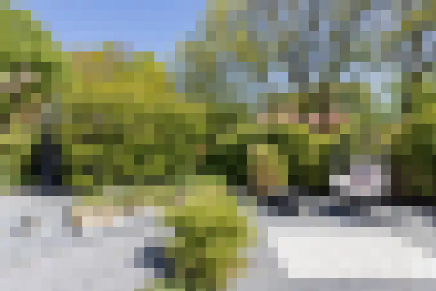 Rozenkamp 22 Eibergen thumbnail 33