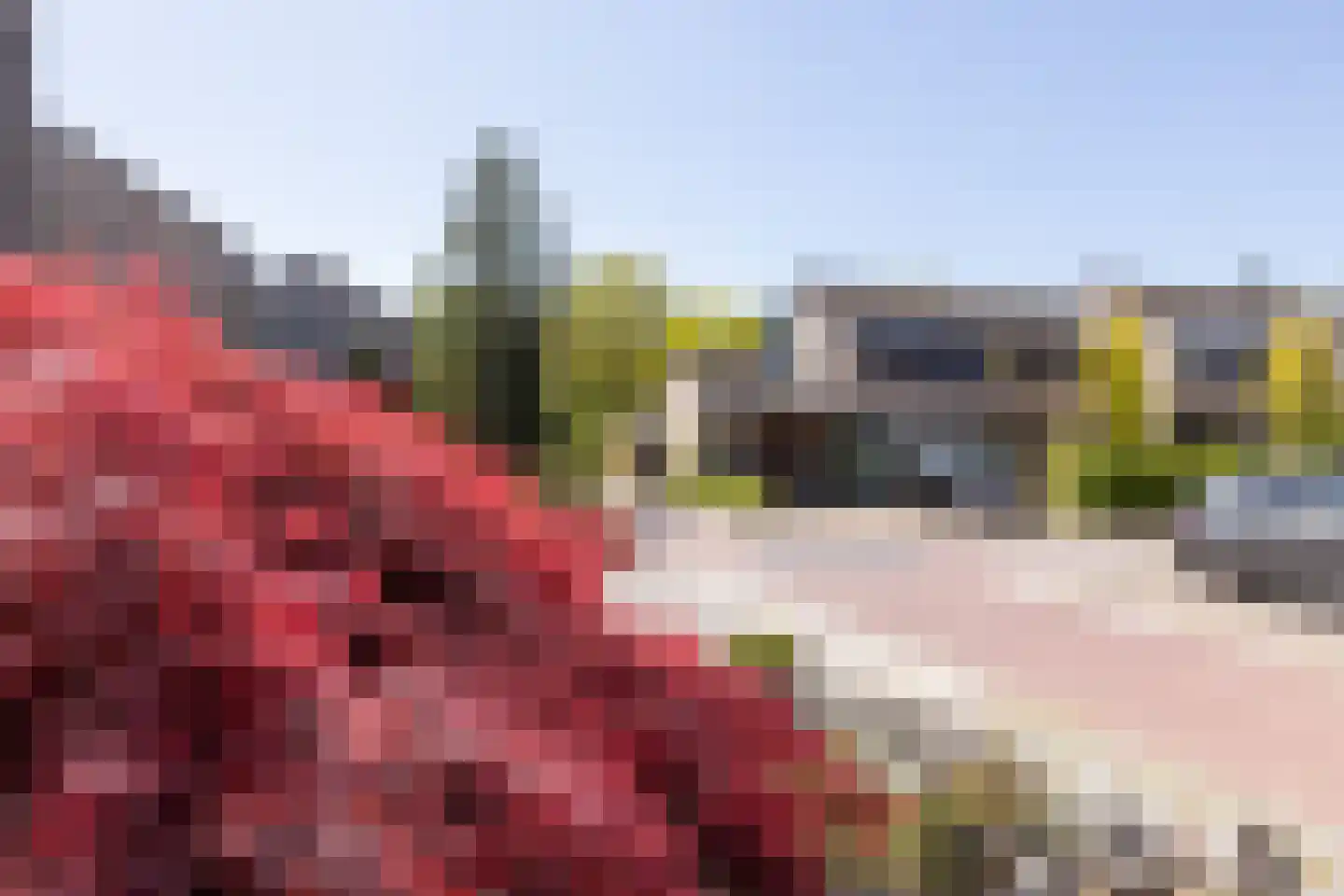 Rozenkamp 22 Eibergen thumbnail 38
