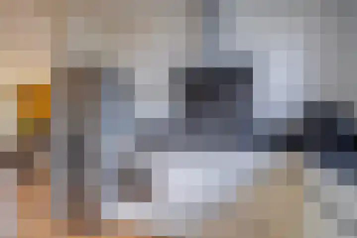 Rozenkamp 30 Elst thumbnail 12