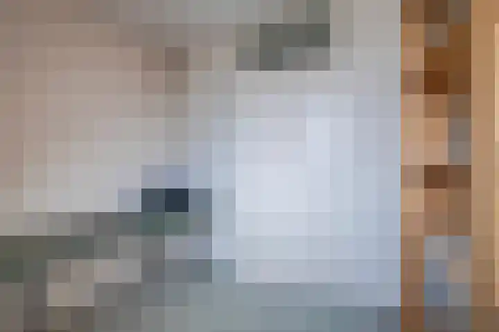Rozenkamp 30 Elst thumbnail 22