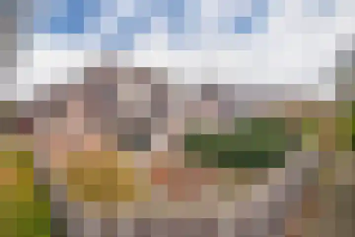 Rozenkamp 30 Elst thumbnail 24