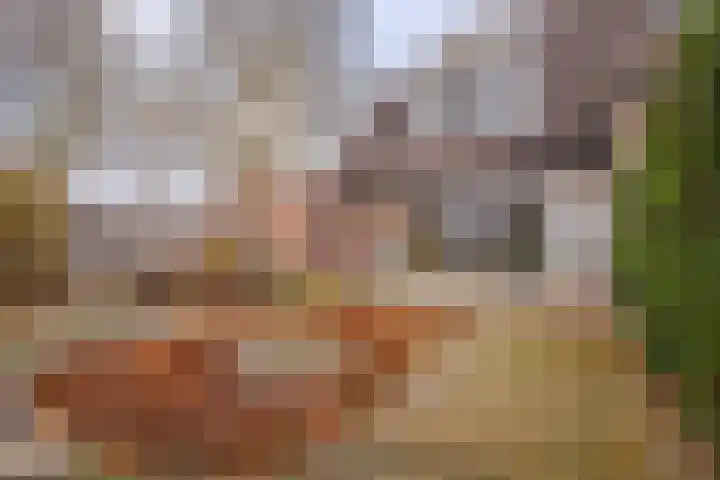 Rozenkamp 30 Elst thumbnail 25