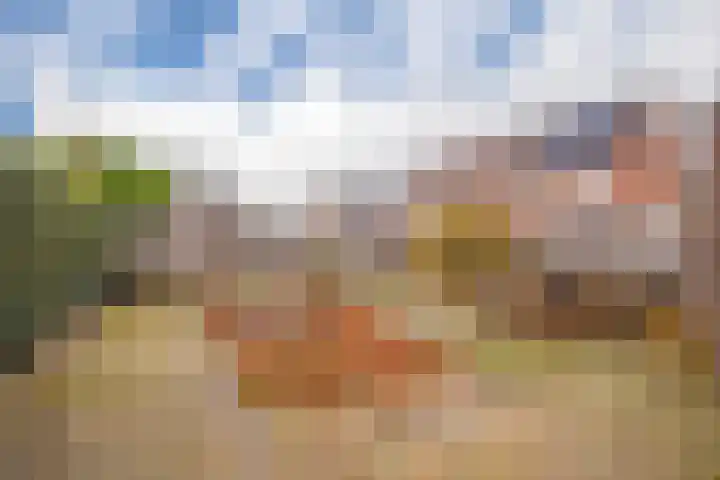 Rozenkamp 30 Elst thumbnail 26