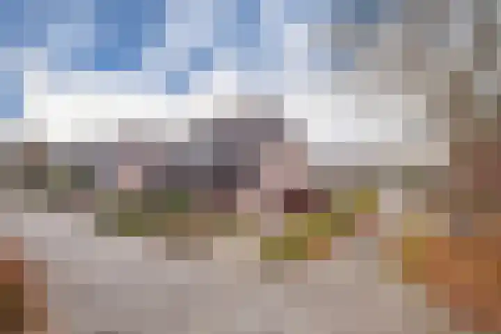 Rozenkamp 30 Elst thumbnail 27