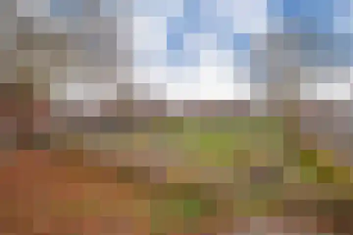 Rozenkamp 30 Elst thumbnail 28