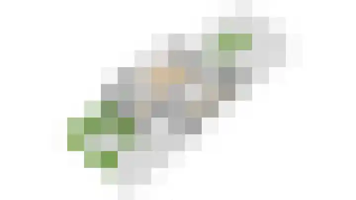 Rozenkamp 30 Elst thumbnail 36