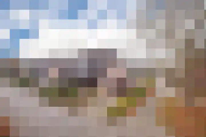 Rozenkamp 30 Elst thumbnail 4