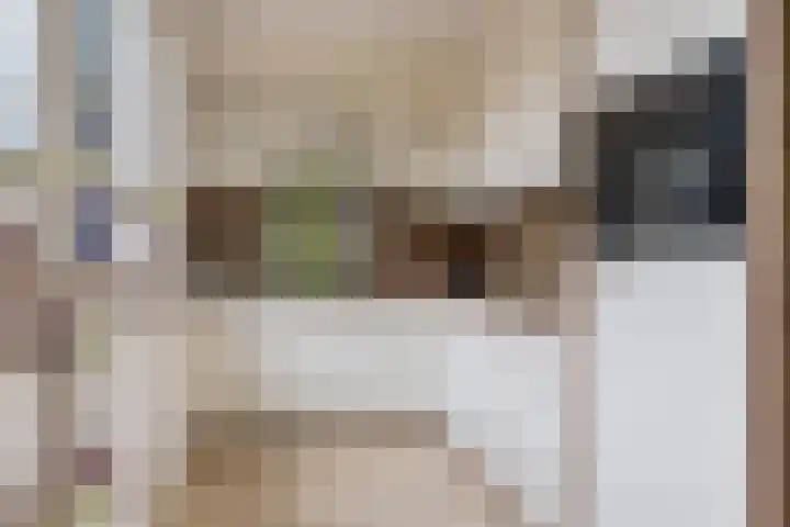 Rozenkamp 35 Eibergen thumbnail 18