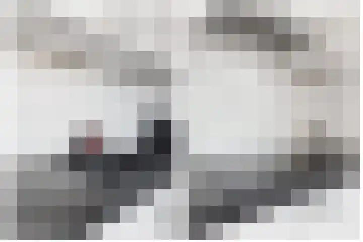 Rozenkamp 36 Eibergen thumbnail 22