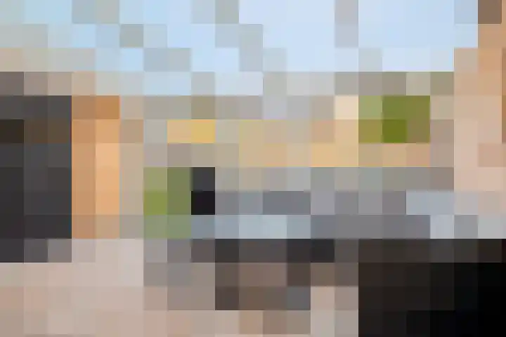 Rozenkamp 36 Eibergen thumbnail 4