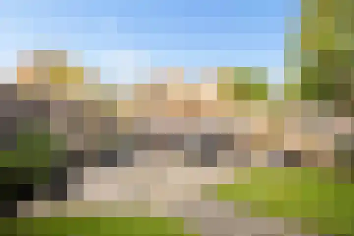 Rozenkamp 36 Eibergen thumbnail 43