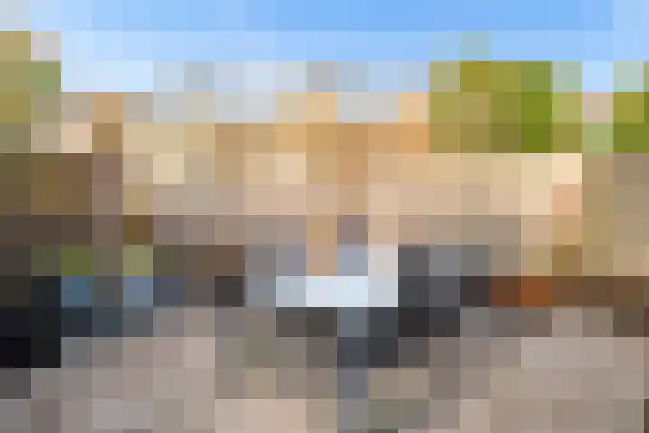 Rozenkamp 36 Eibergen thumbnail 45