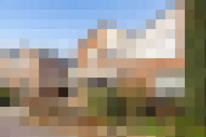 Rozenkamp 36 Eibergen thumbnail 6