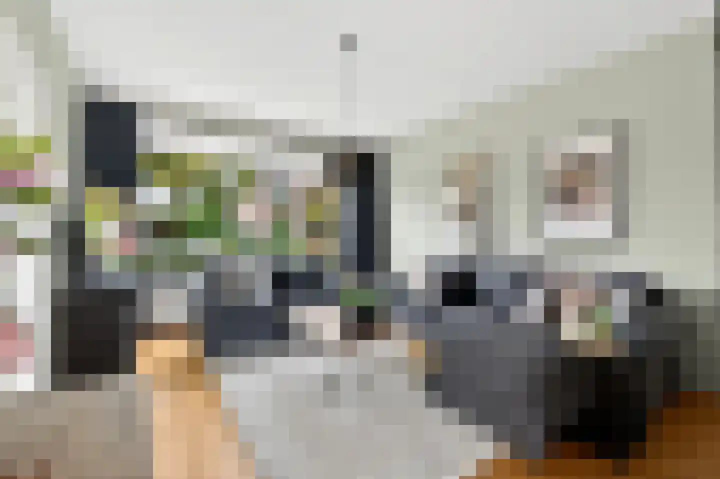 Rozenkamp 58 Neede thumbnail 10