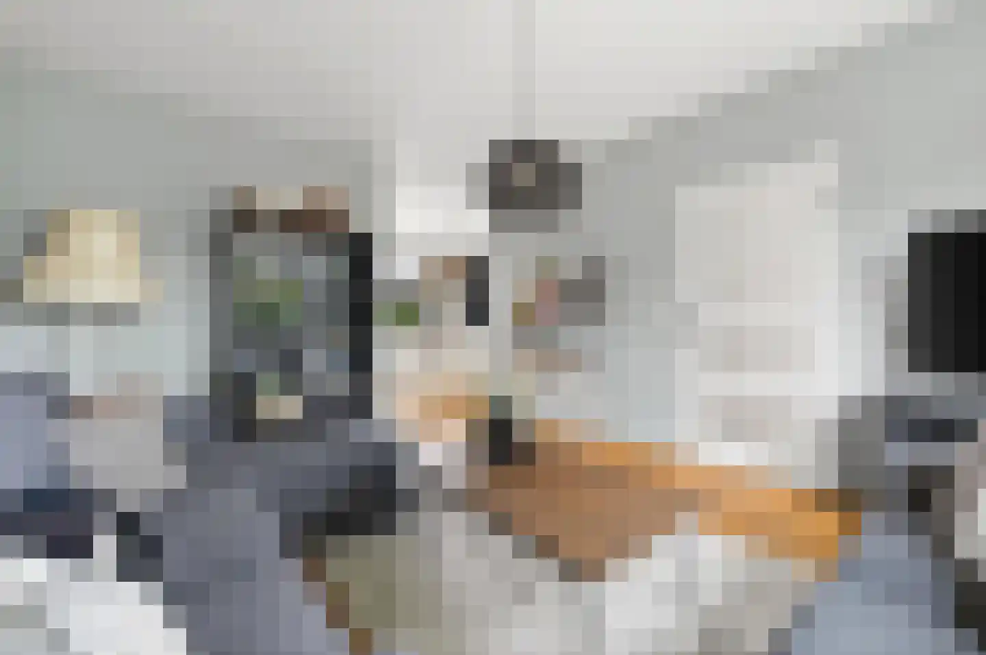 Rozenkamp 58 Neede thumbnail 11