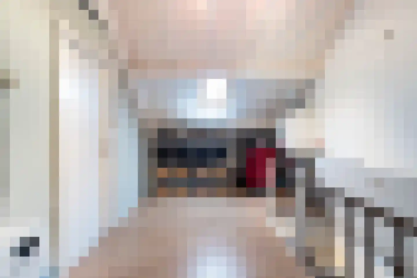 Rozenkamp 58 Neede thumbnail 28