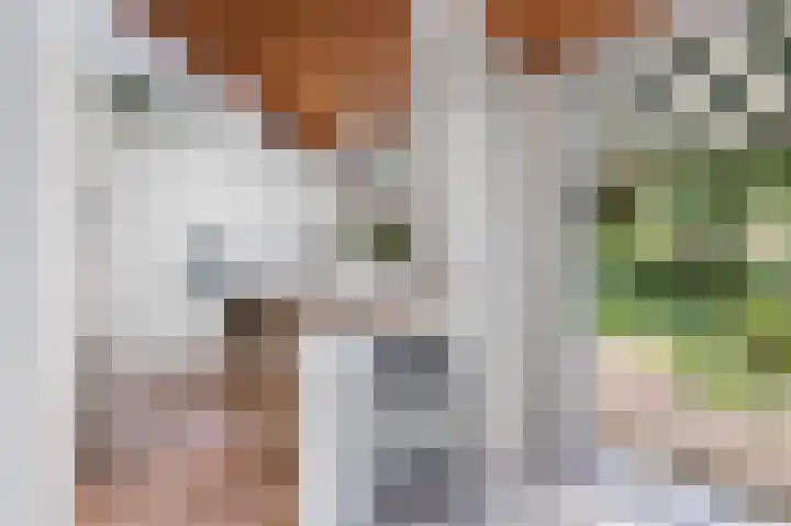 Rozenkamp 6 Eibergen thumbnail 15