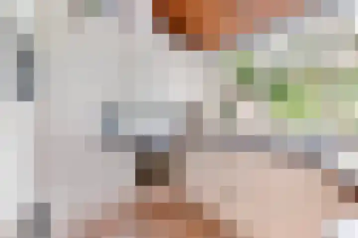 Rozenkamp 6 Eibergen thumbnail 16
